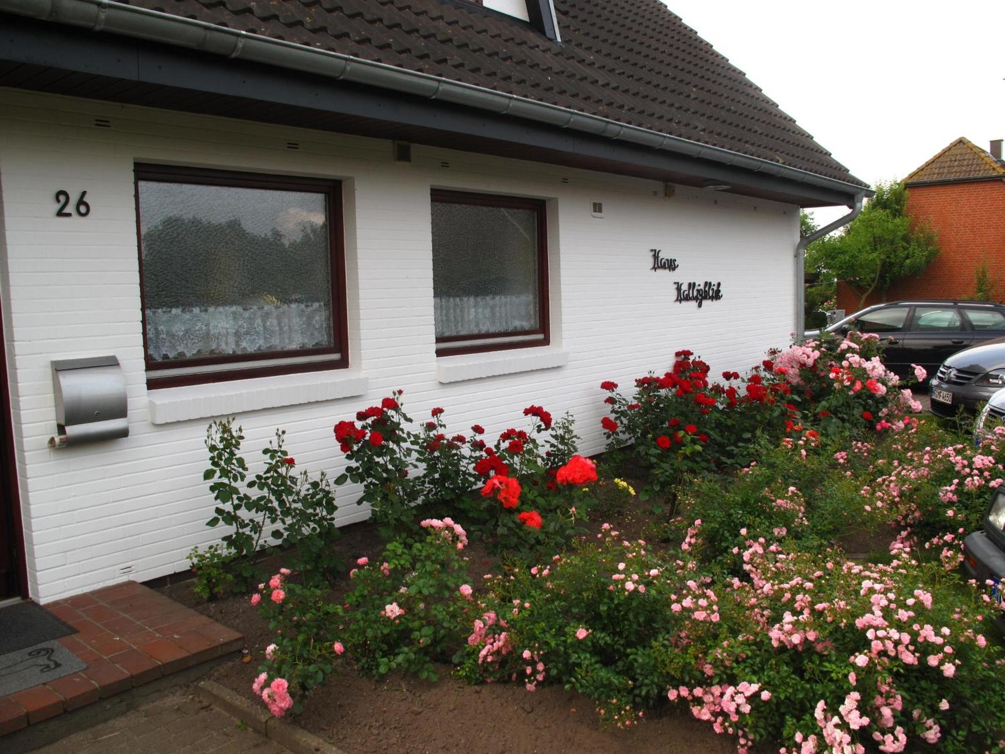 Haus Halligblick, Ferienwohnungen Am Wattenmeer, Whg Hamburger Hallig Dagebüll Екстериор снимка