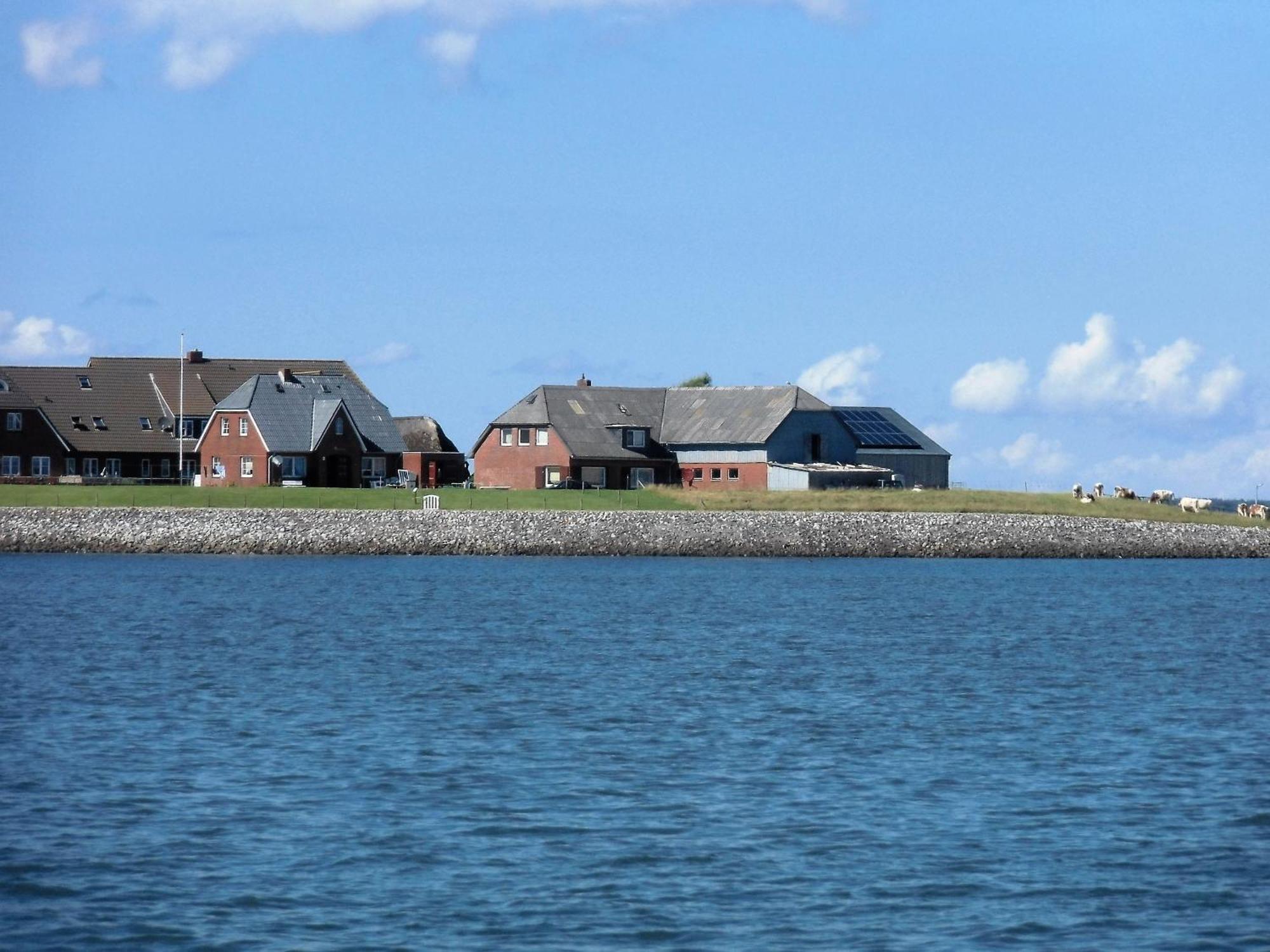 Haus Halligblick, Ferienwohnungen Am Wattenmeer, Whg Hamburger Hallig Dagebüll Екстериор снимка